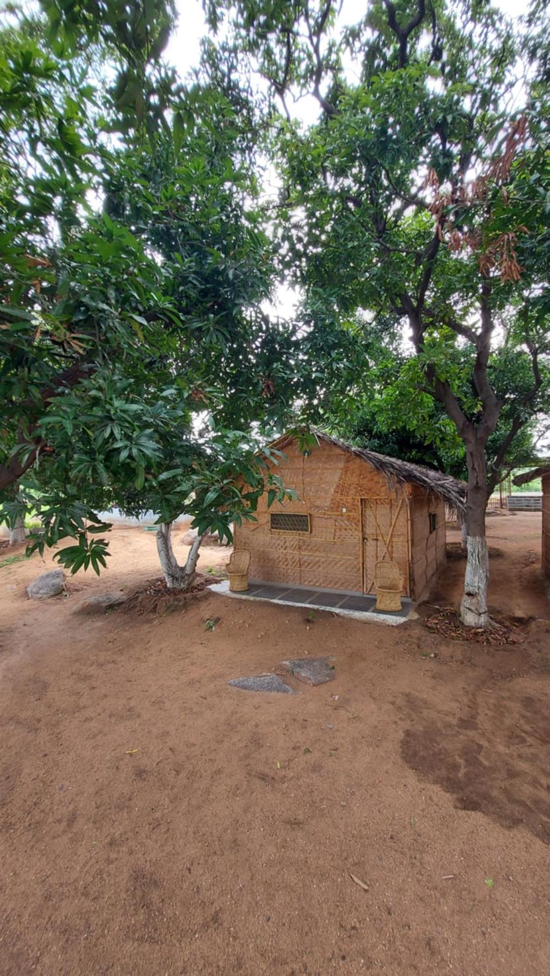 Sunrise Guest House & Restaurant Hampi Room photo