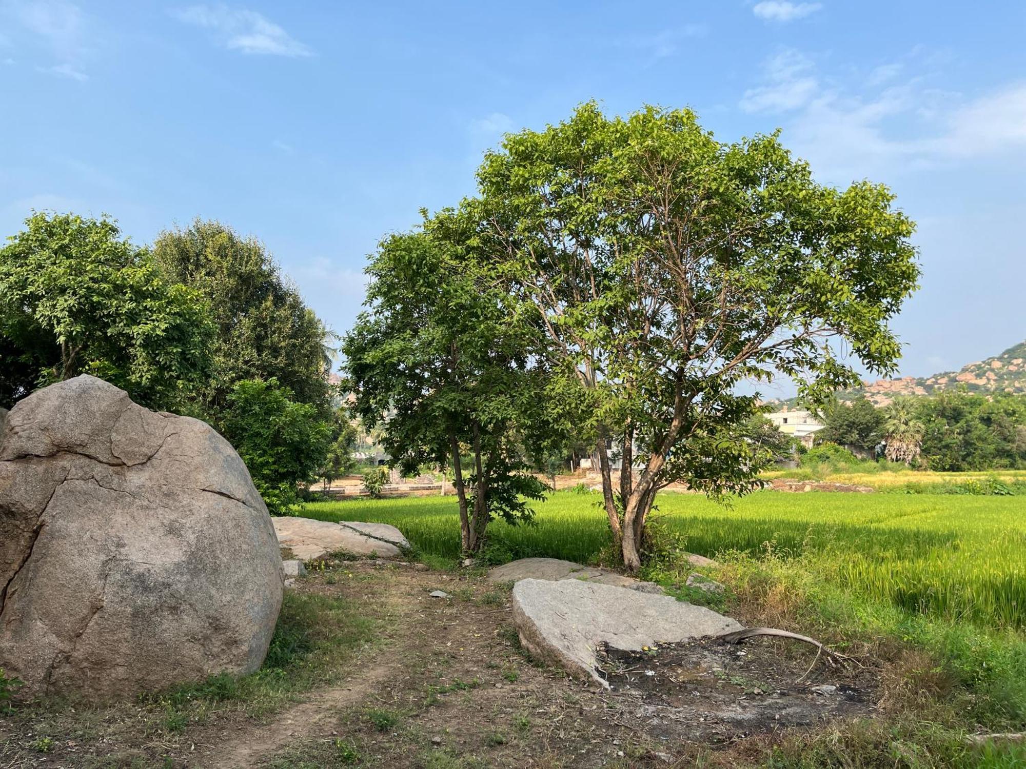 Sunrise Guest House & Restaurant Hampi Exterior photo